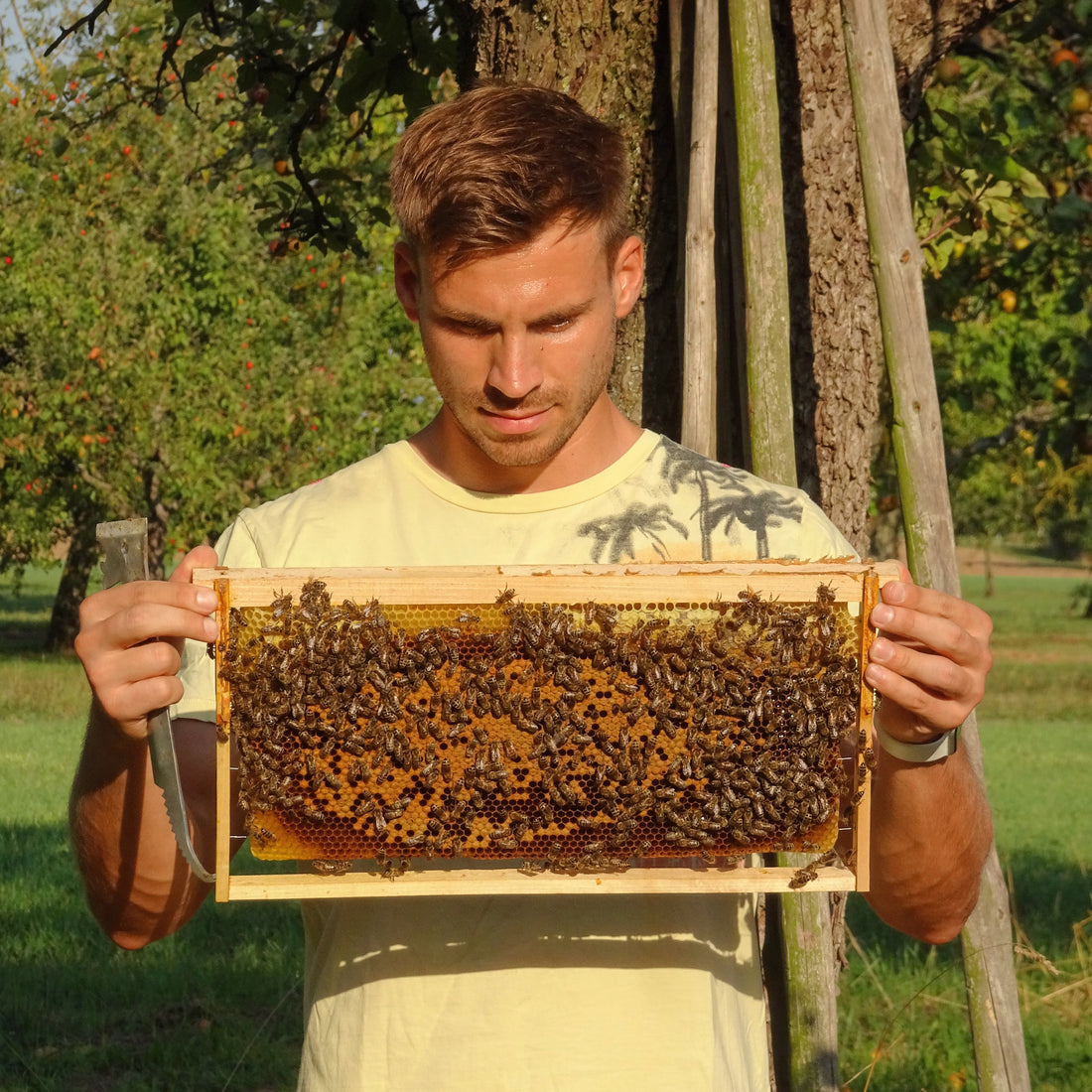 Unveiled: Hobby Beekeeping with Sebastian Katz
